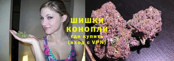 spice Лабытнанги