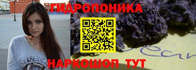 прущие крисы Волжск
