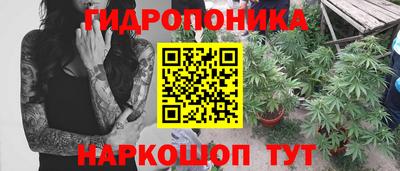 бошки Волгодонск
