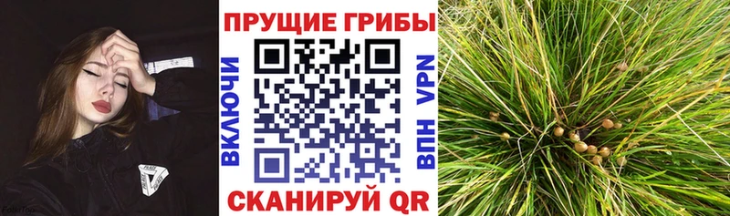Галлюциногенные грибы Magic Shrooms  Комсомольск-на-Амуре 