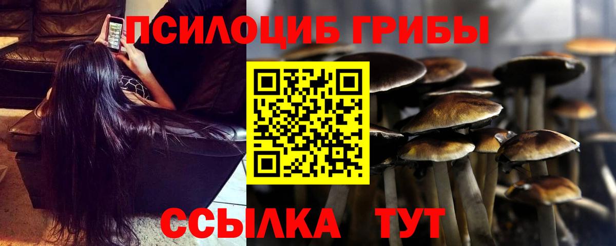 Псилоцибиновые грибы GOLDEN TEACHER Комсомольск-на-Амуре